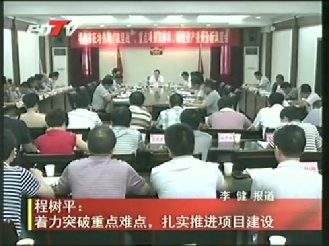 程樹平：著力突破重點難點，扎實推進項目建設
