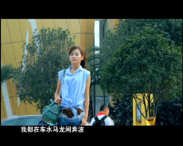 茶鄉情思—福鼎白茶