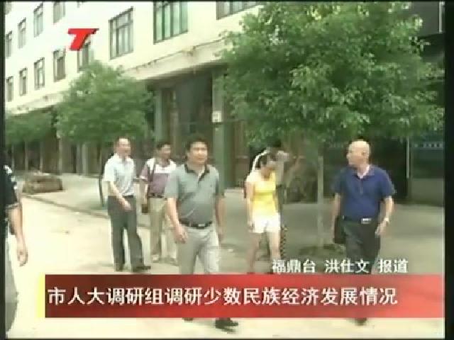 市人大調研組調研少數民族經濟發展情況