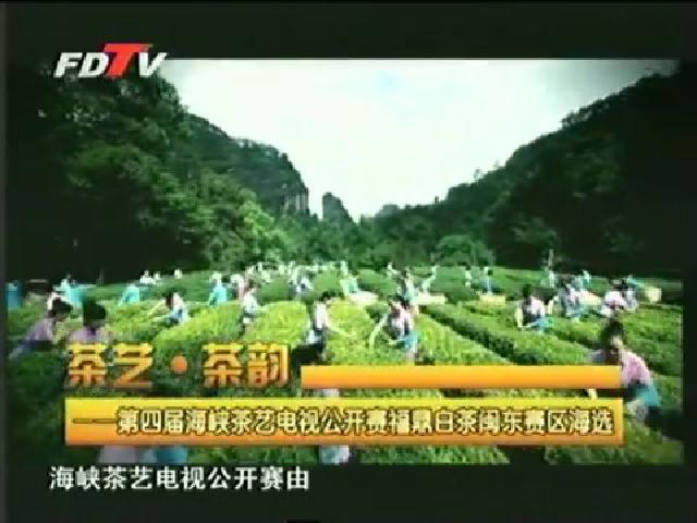 視野專題 第四屆海峽茶藝電視公開賽福鼎白茶閩東賽區海選