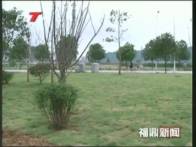 太姥山鎮建設虎頭崗公園 拓展群眾文化休閑空間