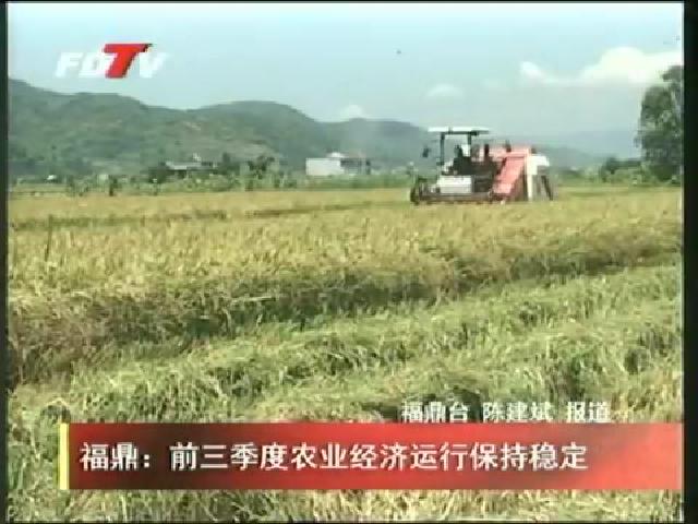 福鼎：前三季度農業經濟運行保持穩定