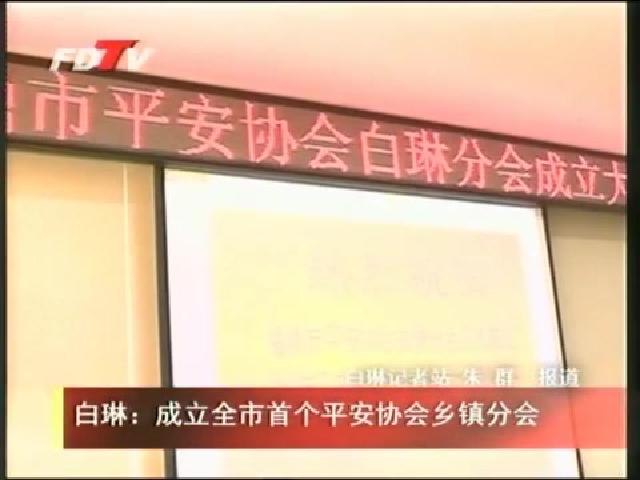 白琳：成立全市首個平安協會鄉鎮分會
