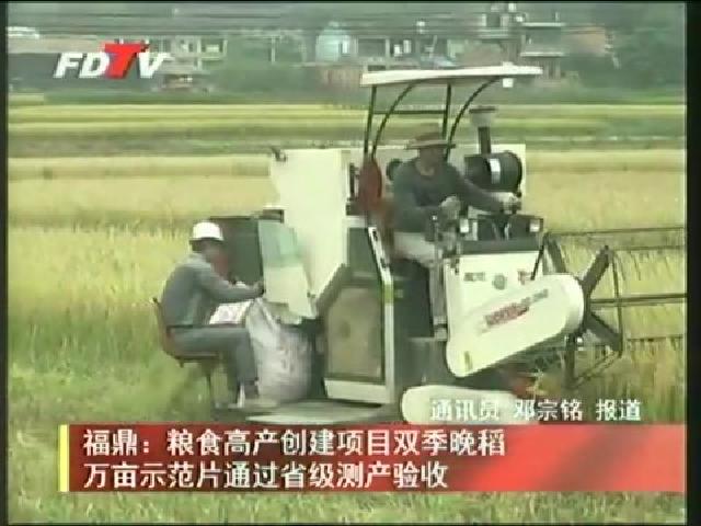 福鼎：糧食高產創建項目雙季晚稻萬畝示范片通過省級測產驗收