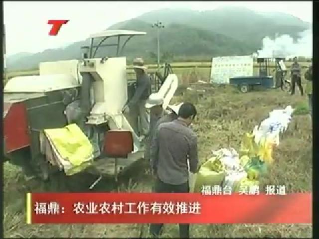 福鼎：農業農村工作有效推進