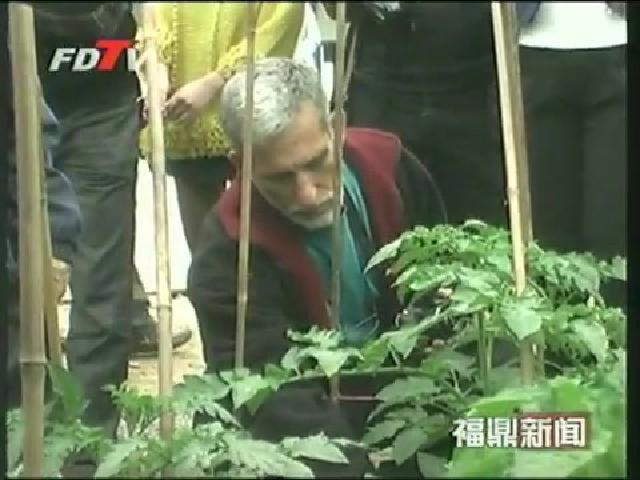 以色列國家農業部農業專家蒞鼎指導節水灌溉和水肥一體化技術