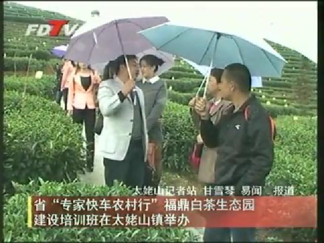 省“專家快車農村行”福鼎白茶生態園建設培訓班在太姥山鎮舉辦
