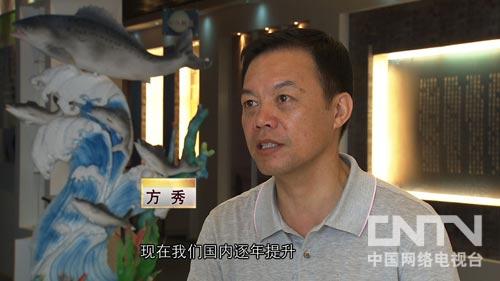 cctv7 《致富經》——大膽創意引爆的財富