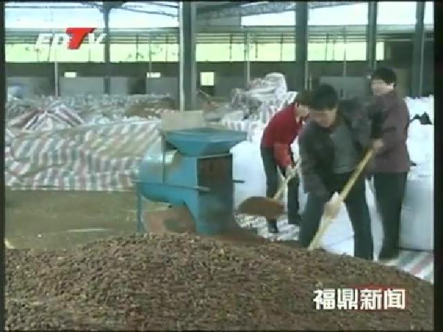 香港環球資本有限公司、江南大學專家蒞鼎考察黃梔子產業