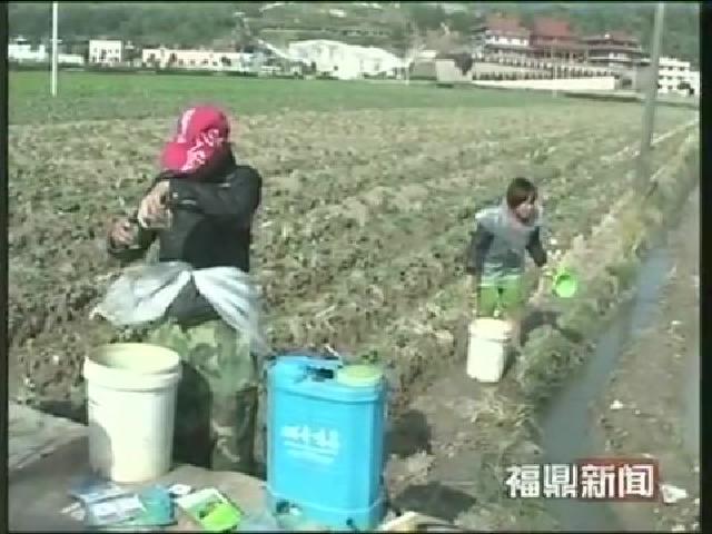店下：大力開展冬季農業生產