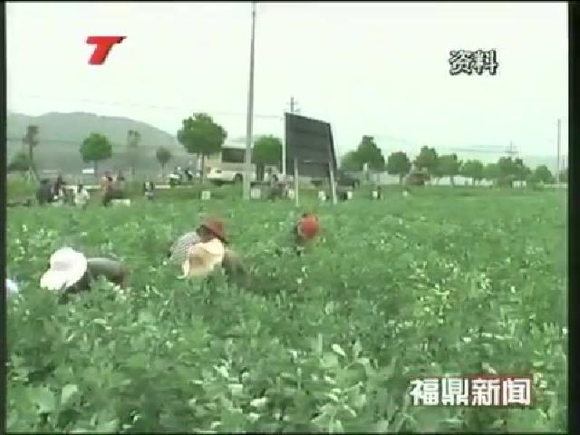 農民專業合作社覆蓋全市行政村