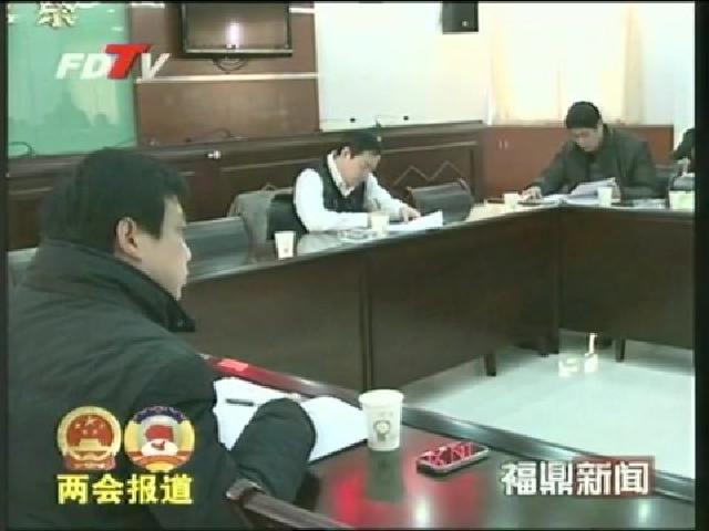 程樹平與人大代表、政協委員審議、討論《政府工作報告》
