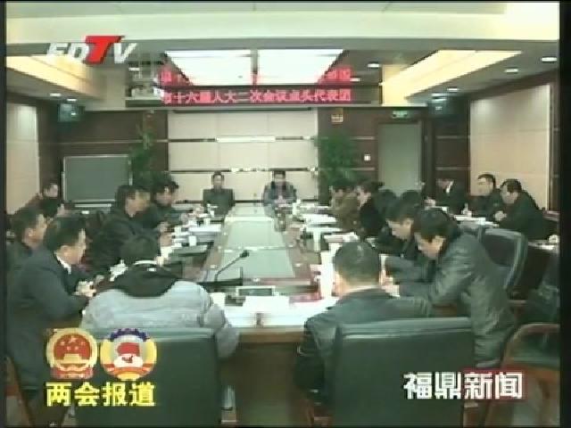 陳興華與前岐、點頭代表團人大代表審議《政府工作報告》