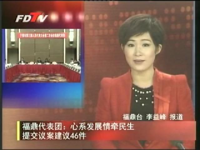 福鼎代表團：心系發展情牽民生提交議案建議46件