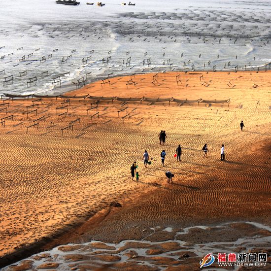 7一群游客在大元當沙灘上漫步.JPG