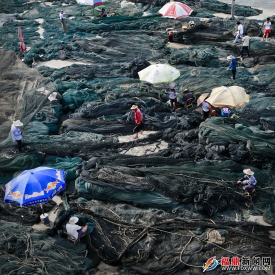 4沿海漁村時常能看到專心修補漁網的漁民。.JPG