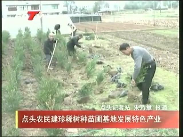 點頭農民建珍稀樹種苗圃基地發展特色產業