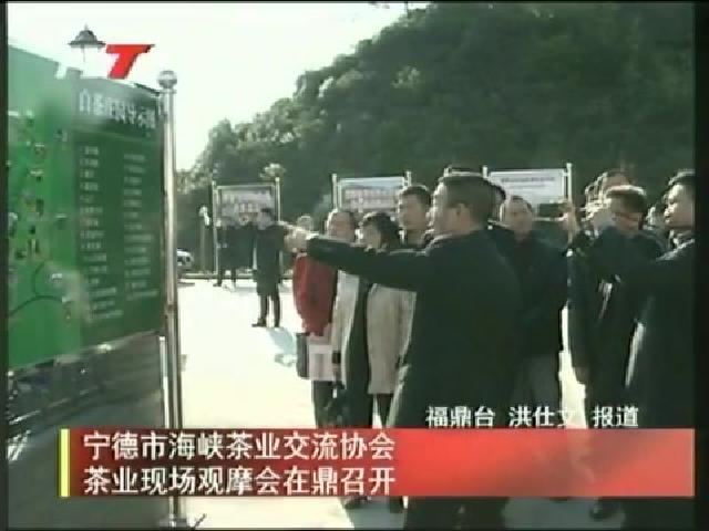寧德市海峽茶業交流協會茶業現場觀摩會在鼎召開