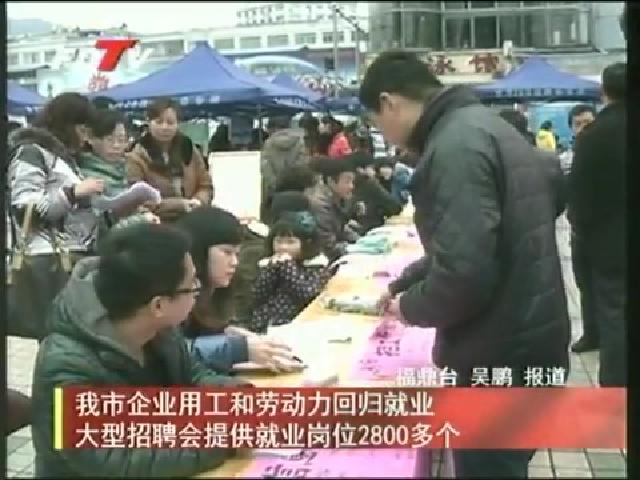 我市企業用工和勞動力回歸就業大型招聘會提供就業崗位2800多個