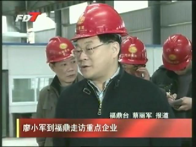 廖小軍到福鼎走訪重點企業