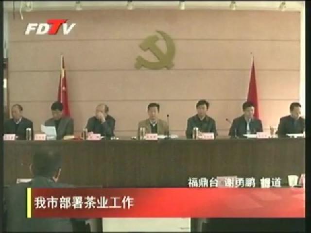 我市部署茶業工作
