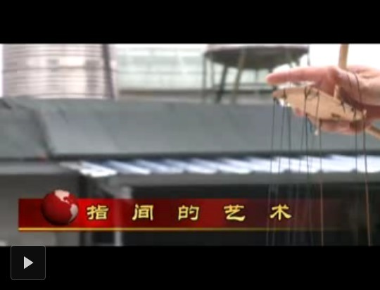 視野專題——指間的藝術