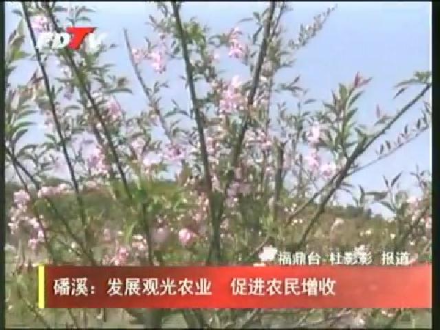 磻溪：發展觀光農業 促進農民增收