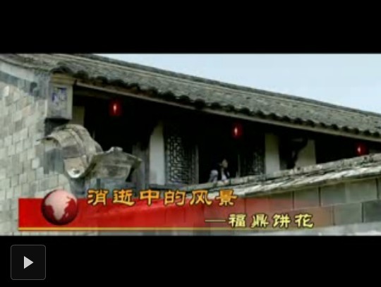 視野專題——消逝中的風景：福鼎餅花