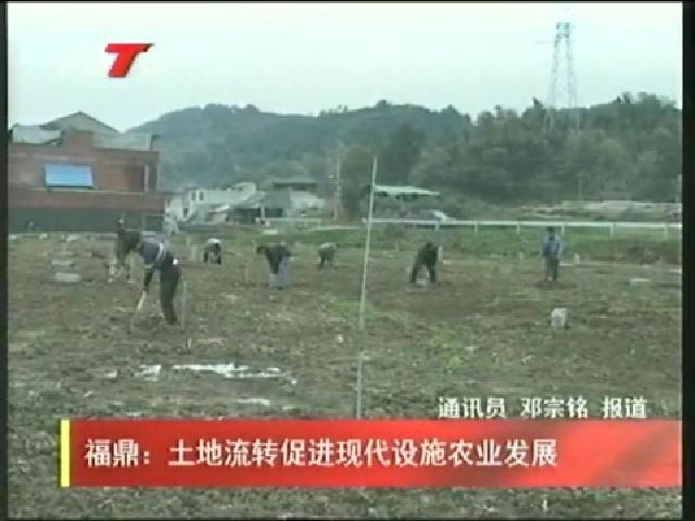 福鼎：土地流轉促進現代設施農業發展