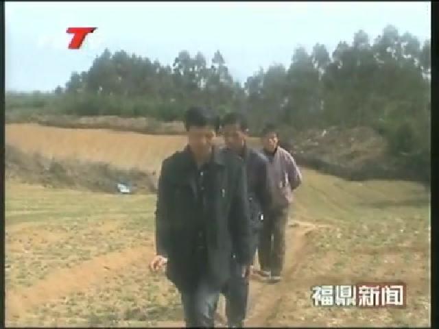 太子參種植戶遇難題 農業專家來支招