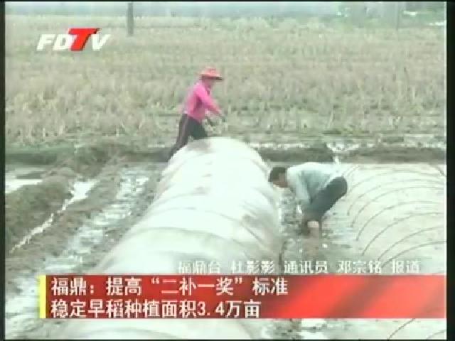 福鼎：提高“二補一獎”標準穩定早稻種植面積3.4萬畝