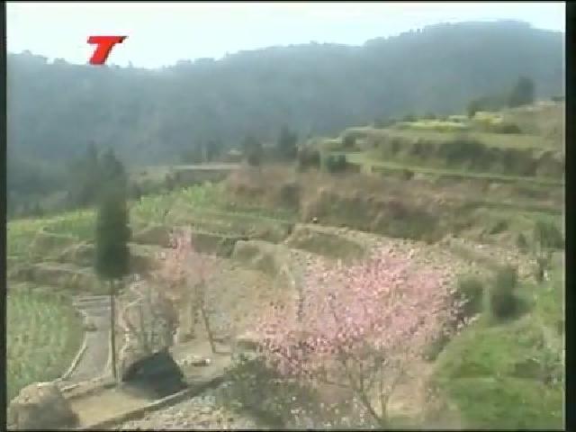 “湯霸王”：“公司十基地十農戶”企業發展農民增收