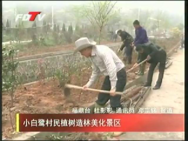 小白鷺村民植樹造林美化景區