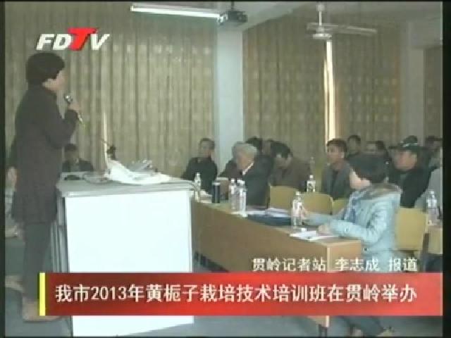 我市2013年黃梔子栽培技術培訓班在貫嶺舉辦