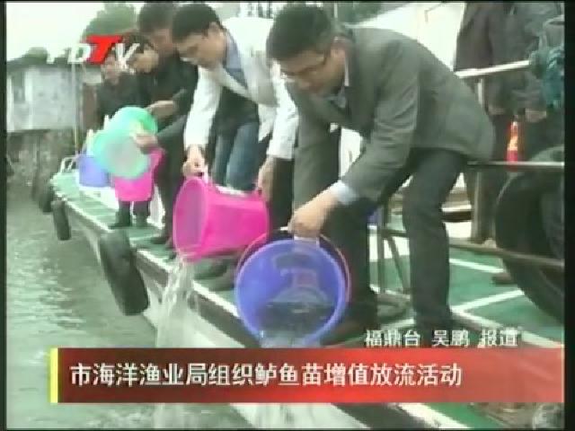市海洋漁業局組織鱸魚苗增值放流活動
