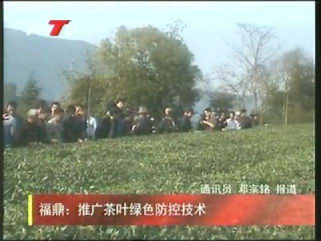 福鼎：推廣茶葉綠色防控技術