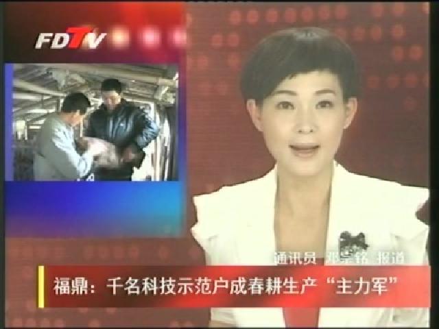 福鼎：千名科技示范戶成春耕生產“主力軍”