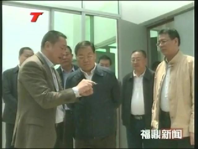 廖小軍到福鼎專題調研茶產業發展工作