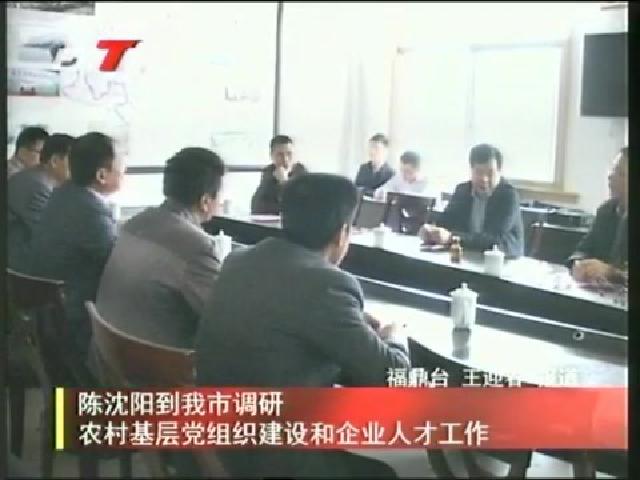 陳沈陽到我市調研農村基層黨組織建設和企業人才工作
