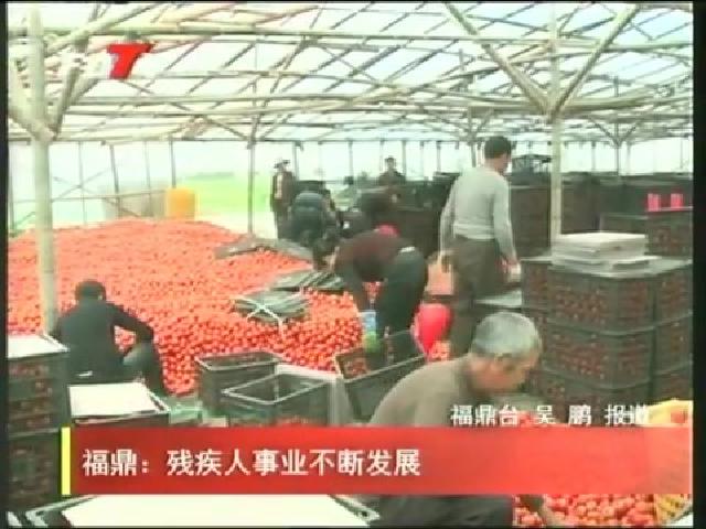 福鼎：殘疾人事業不斷發展