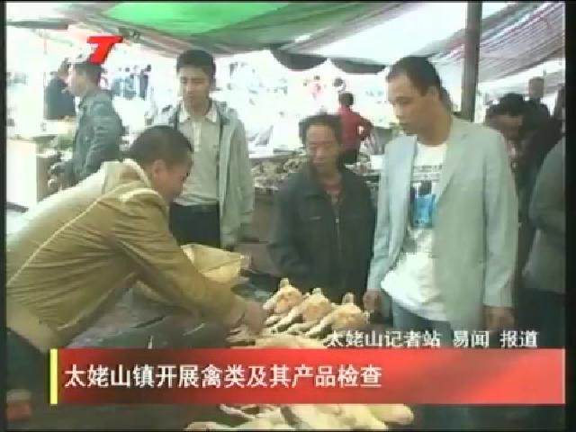 太姥山鎮開展禽類及其產品檢查