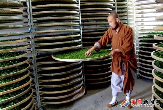 僧人在人工自然萎調茶青006.jpg