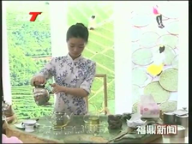 美麗中國 尋找福建最美茶鄉采風團蒞鼎采風
