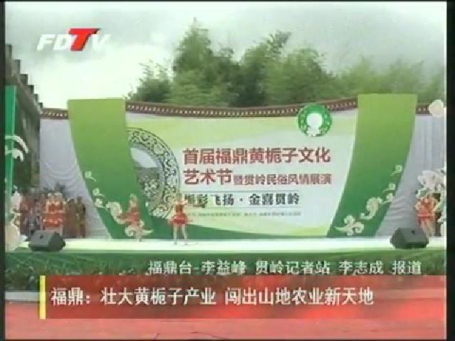 福鼎：壯大黃梔子產業 闖出山地農業新天地