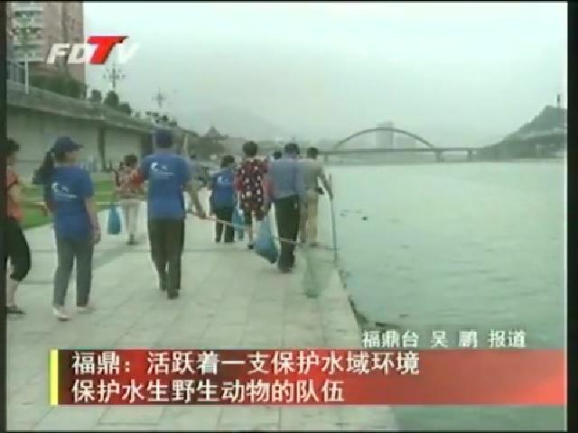 福鼎：活躍著一支保護水域環境保護水生野生動物的隊伍