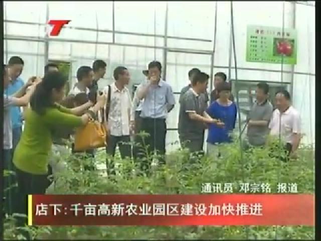店下：千畝高新農業園區建設加快推進