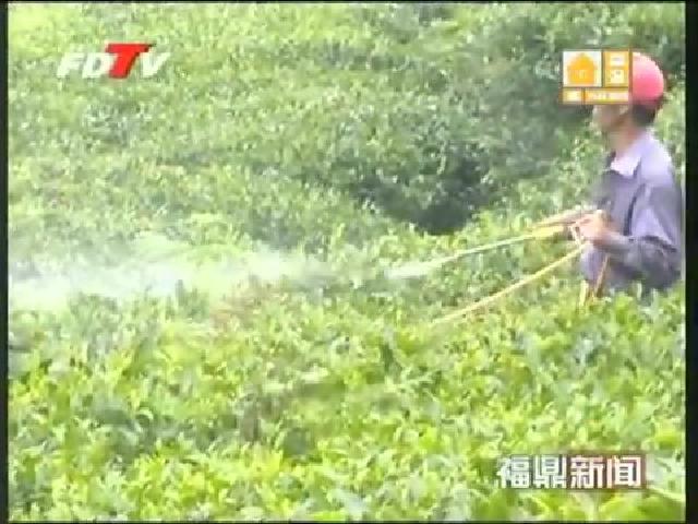 專業合作社——農業增產增收的好幫手