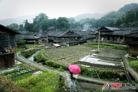 中國傳統村落、省級歷史文化名村仙蒲村 吳維泉攝.JPG