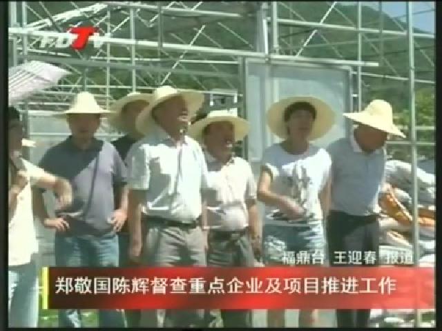 鄭敬國陳輝督查重點企業及項目推進工作