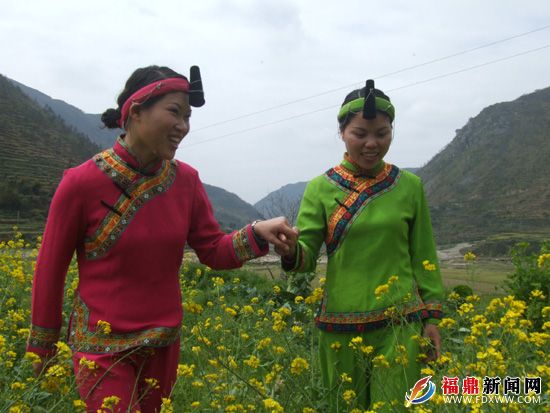 通過加入特種養殖合作社，讓搬下山的閩東畬族鄉群眾攜手走新生活（林熙 雷順號攝）.JPG